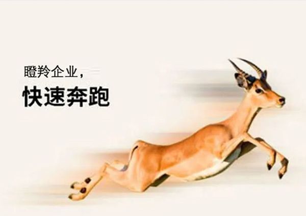喜報(bào)伊履！廣州研恒入選廣州市“瞪羚企業(yè)”